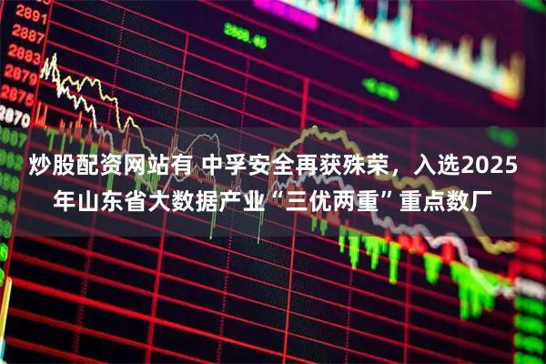 炒股配资网站有 中孚安全再获殊荣，入选2025年山东省大数据产业“三优两重”重点数厂