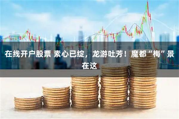 在线开户股票 素心已绽，龙游吐芳！魔都“梅”景在这